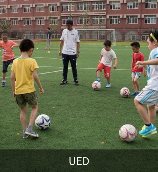 UED概况